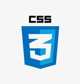 css3